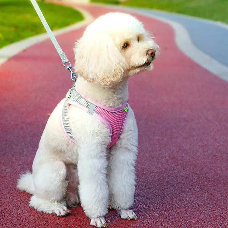 Dog Harness with Leash Adjustable Vest Walking Supplies Soft Breathable Pet Accessories for Chihuahua Pug Small Puppy Dog Lead