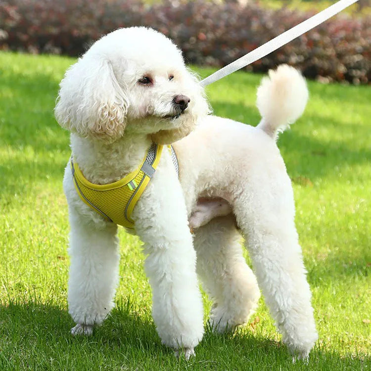 Dog Harness with Leash Adjustable Vest Walking Supplies Soft Breathable Pet Accessories for Chihuahua Pug Small Puppy Dog Lead