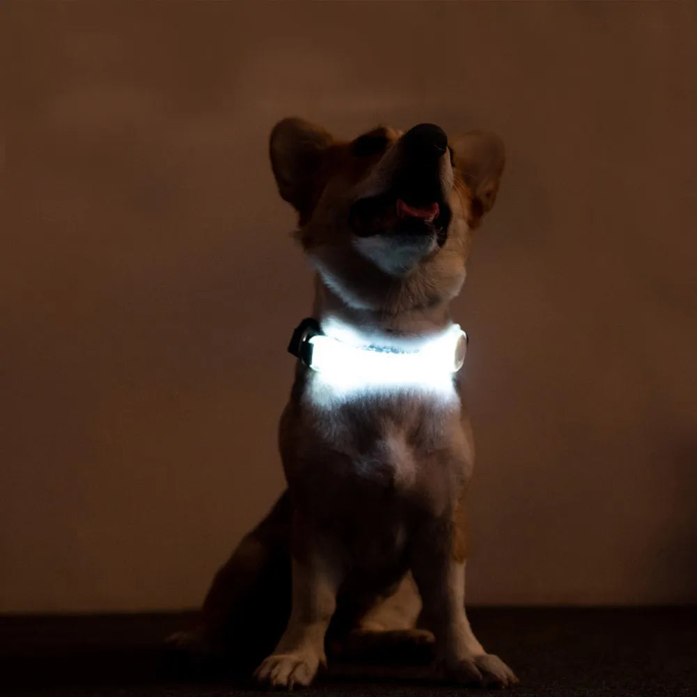 Light Up Dog Collars Night Safety LED Lighting Necklace Collar Battery Operated for Pet Dog Puppy Night Walking Glow LED Collar