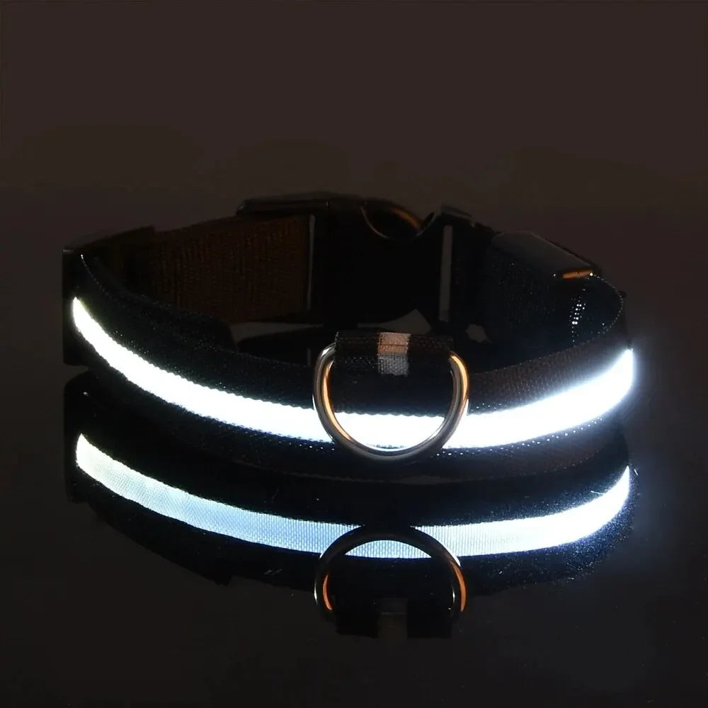 Light Up LED Dog Collar Safety Night Walking Flashing Glow In The Dark LED Pet Dog Battery Collar Small Medium Large Dog