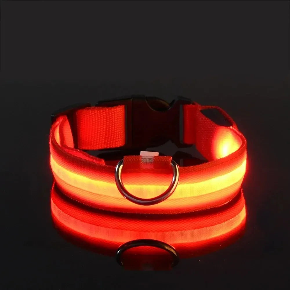 Light Up LED Dog Collar Safety Night Walking Flashing Glow In The Dark LED Pet Dog Battery Collar Small Medium Large Dog